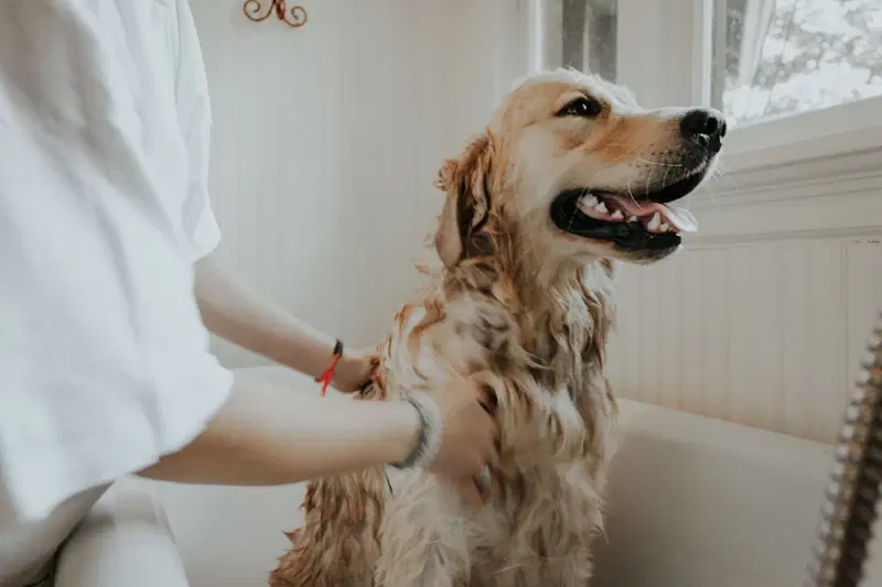 Productos de higiene y cuidado para mascotas