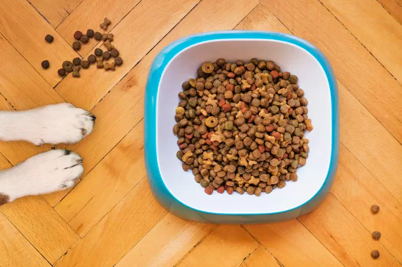 Alimento seleccionado para mascotas